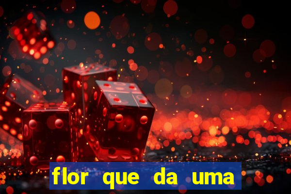 flor que da uma vez no ano