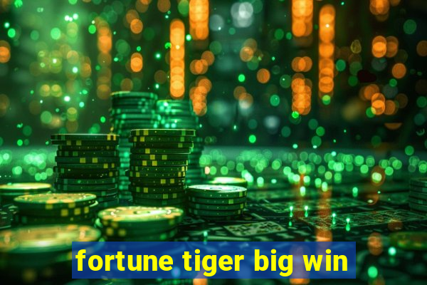 fortune tiger big win