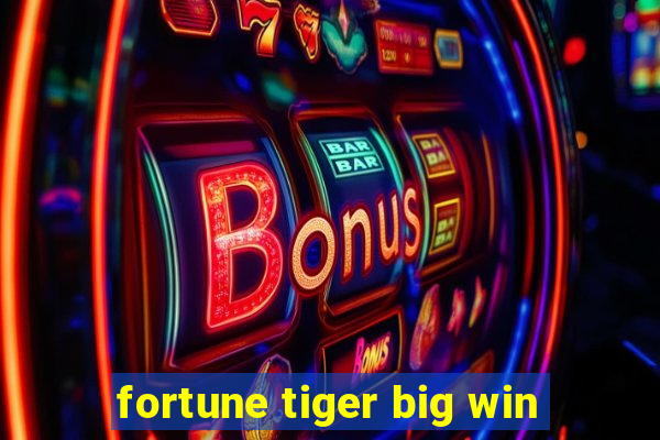 fortune tiger big win