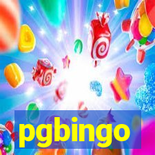 pgbingo