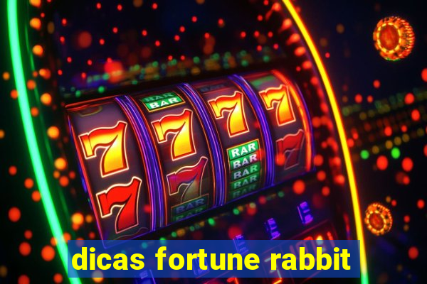 dicas fortune rabbit