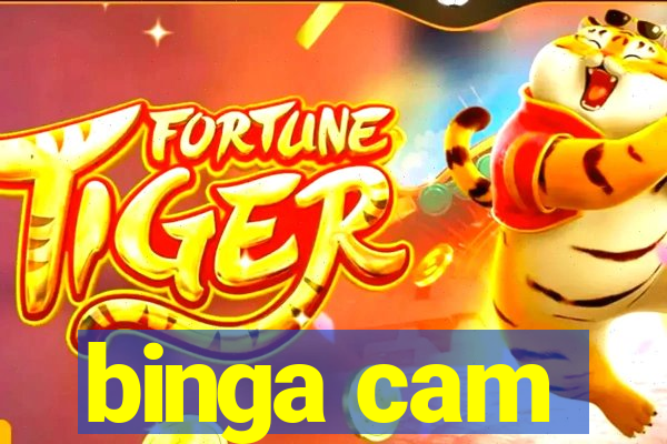 binga cam