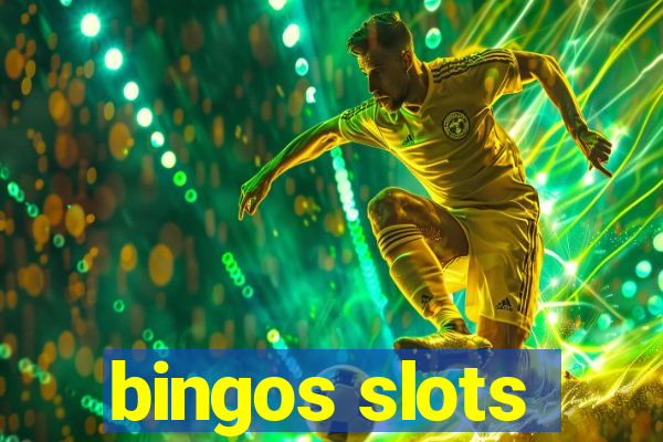 bingos slots