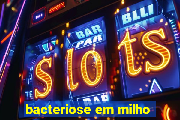 bacteriose em milho