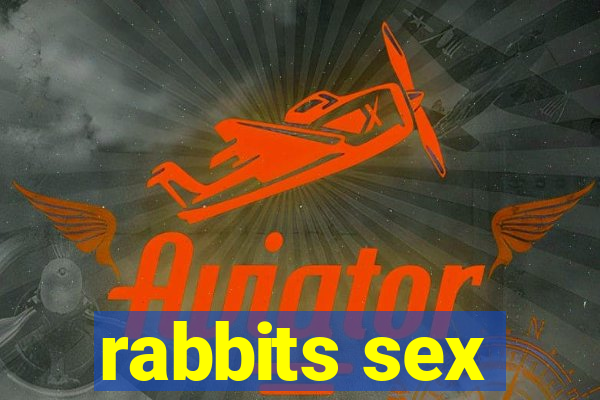 rabbits sex