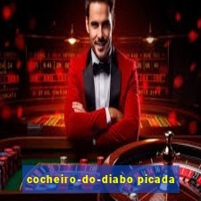 cocheiro-do-diabo picada