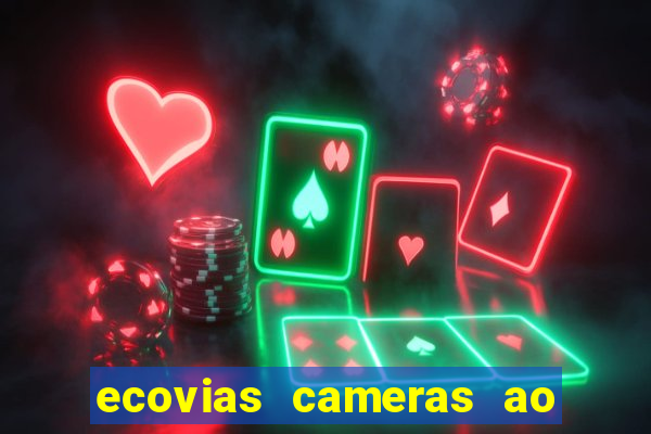 ecovias cameras ao vivo santos