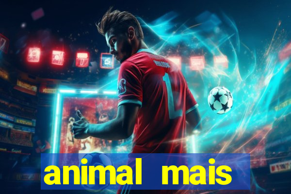 animal mais barulhento do mundo 230 decibeis