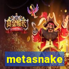 metasnake