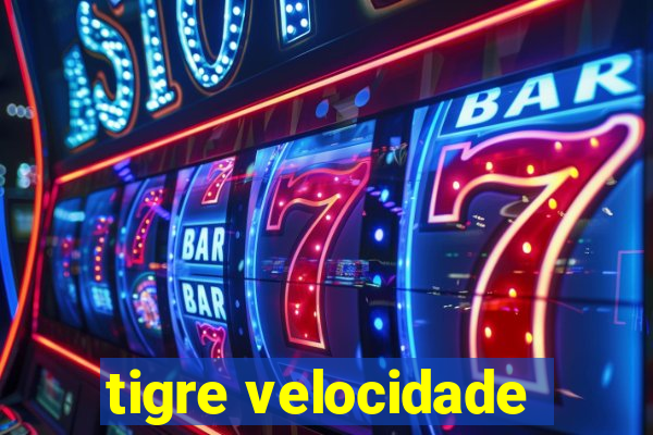 tigre velocidade