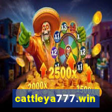 cattleya777.win