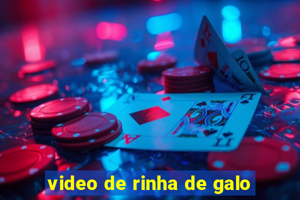 video de rinha de galo