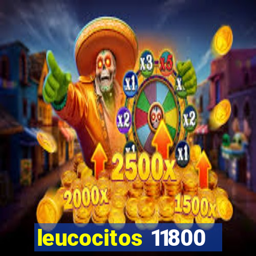 leucocitos 11800