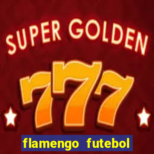 flamengo futebol play hd