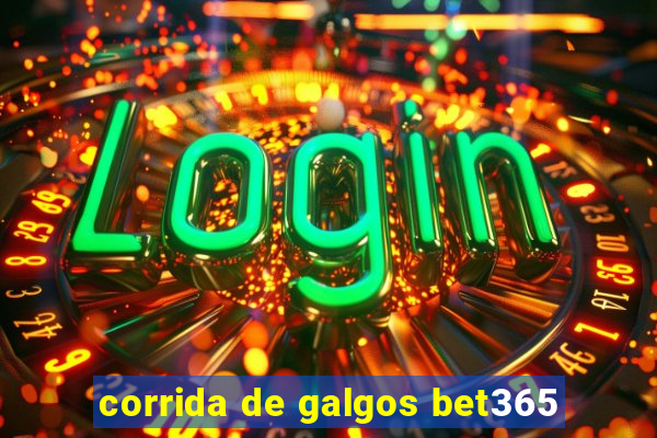 corrida de galgos bet365