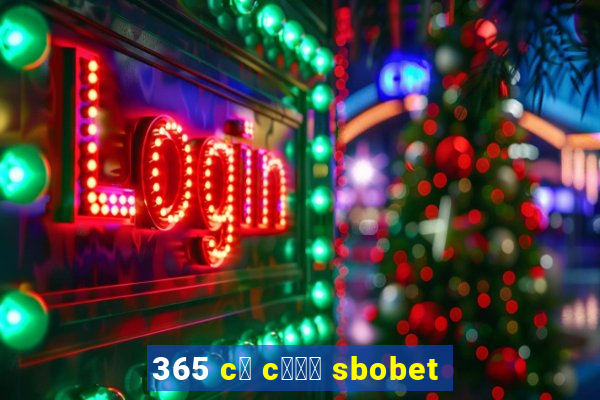 365 c谩 c瓢峄 sbobet