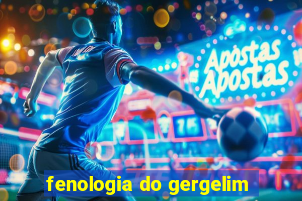 fenologia do gergelim