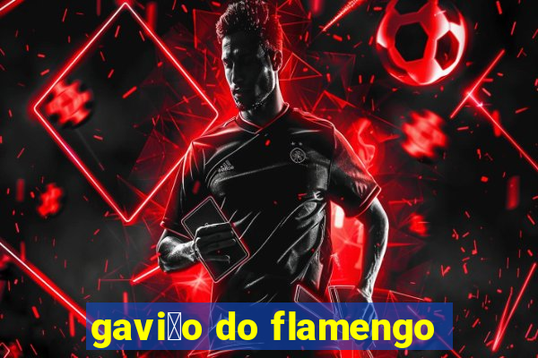 gavi茫o do flamengo