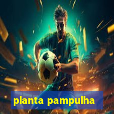 planta pampulha