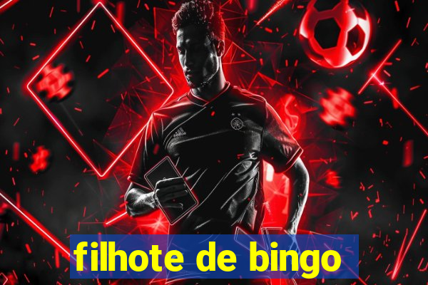 filhote de bingo