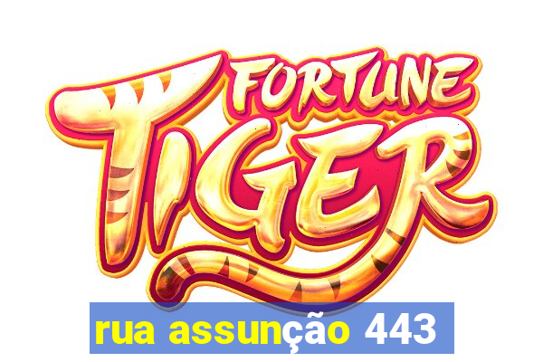 rua assunção 443