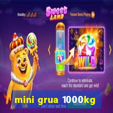 mini grua 1000kg