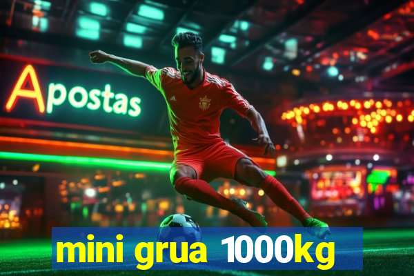 mini grua 1000kg