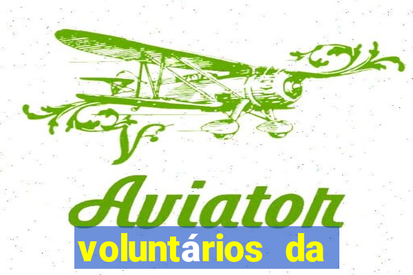 voluntários da pátria 547