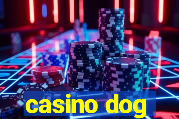 casino dog