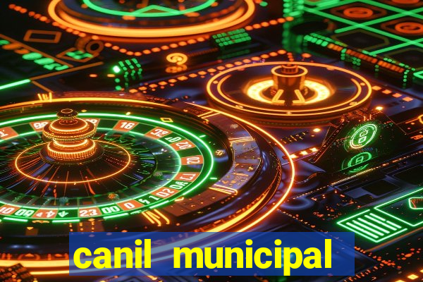 canil municipal porto alegre