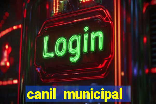 canil municipal porto alegre