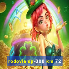 rodovia sp-300 km 72