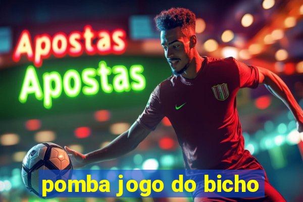 pomba jogo do bicho