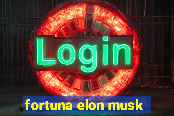 fortuna elon musk