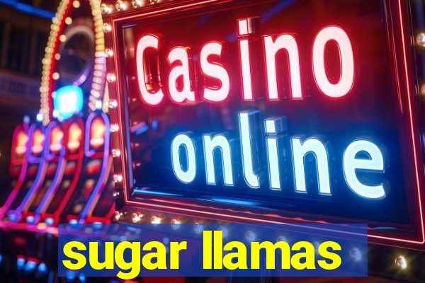 sugar llamas