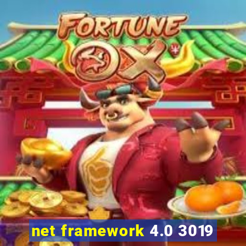 net framework 4.0 3019