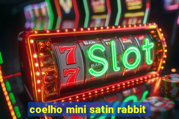 coelho mini satin rabbit