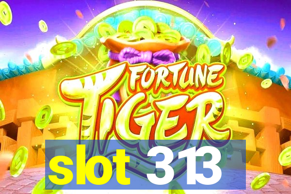 slot 313