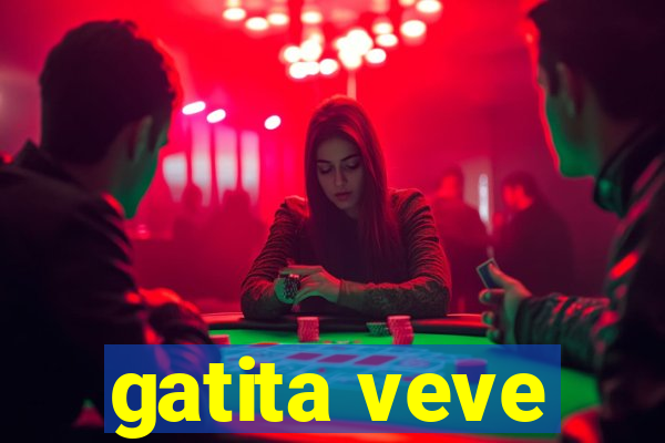 gatita veve