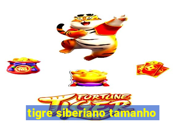 tigre siberiano tamanho