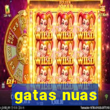 gatas nuas