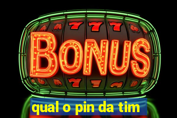 qual o pin da tim