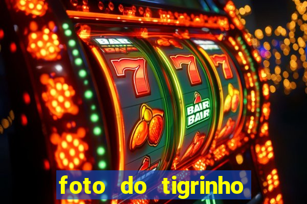 foto do tigrinho do jogo